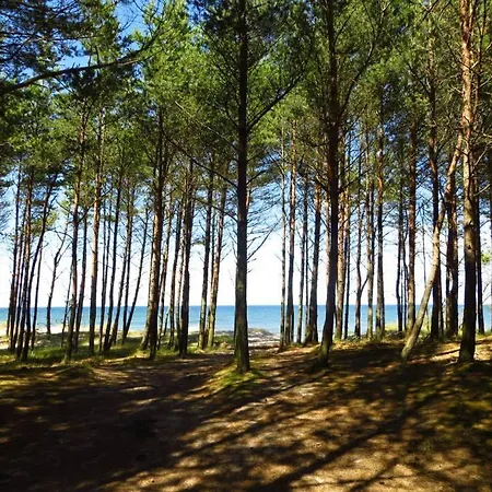 Domki Wczasowe Mielenko Exterior photo